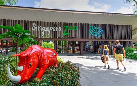 singapore zoo & river wonders
